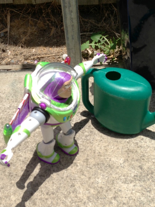 The plants needed a good water so I asked Buzz to give them a drink.